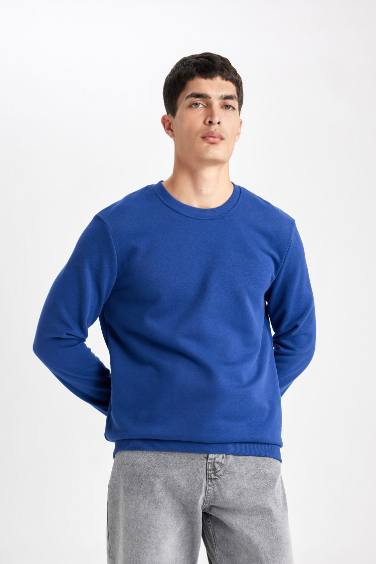 Regular Fit Sweatshirt