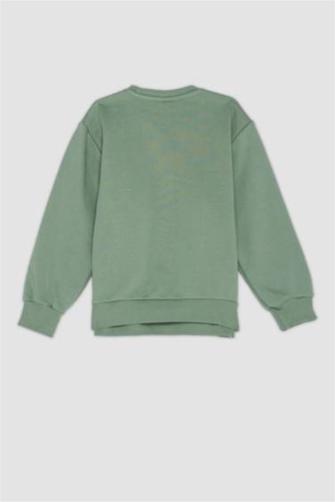 Boy Regular Fit Crew Neck Thick Sweatshirt