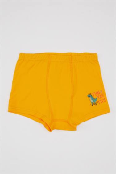 Boy 3 piece Printed Boxer