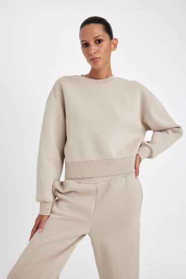 سويت شيرت اوفر سايز بيزك تقيل برقبة مستديرة