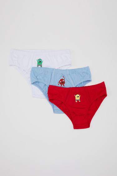 Boy 3 Piece Slip Panties