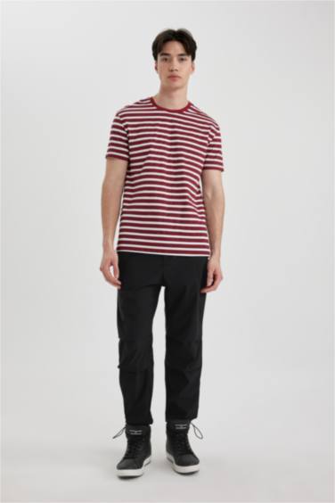 Regular Fit Short Sleeve Knitted Tops