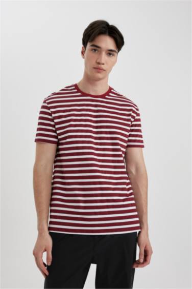 Regular Fit Short Sleeve Knitted Tops