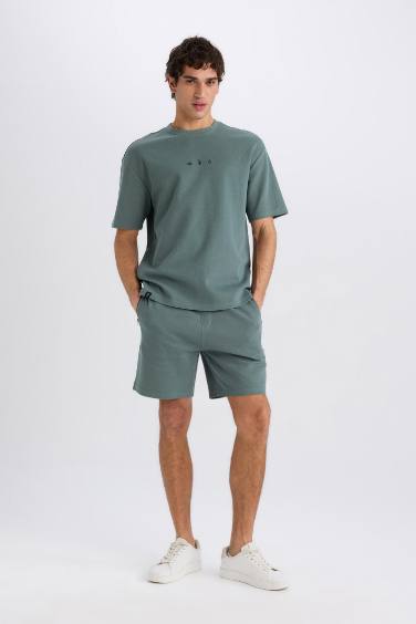 Regular Fit Regular Hem Shorts