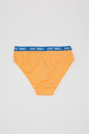 Girl 3 Piece Slip Panties