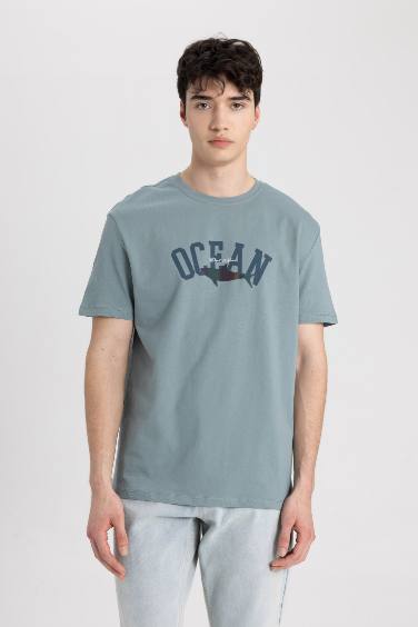 Regular Fit Crew Neck T-Shirt