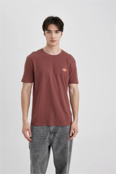 Regular Fit Crew Neck Printed Short Sleeve T-Shirt