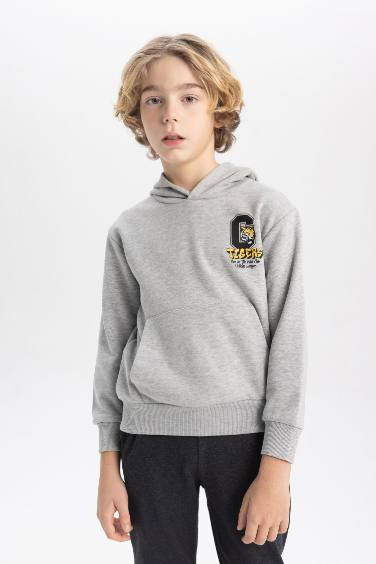 Boy Printed Hooded Thick Sweatshirt