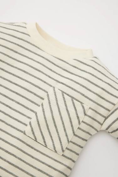 Baby Boy Regular Fit Crew Neck Striped T-Shirt