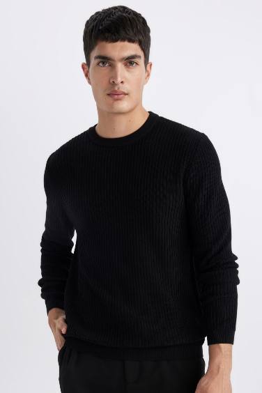 Standard Fit Crew Neck Basic Knitted Pullover