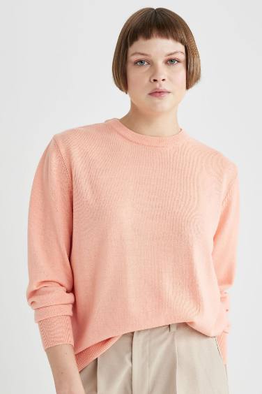 Regular Fit Crew Neck Pullover