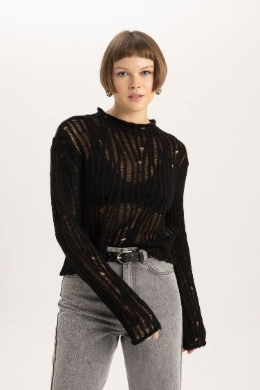 Relax Fit Half Turtleneck Lace Pullover