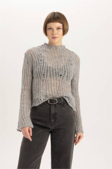 Relax Fit Half Turtleneck Lace Pullover