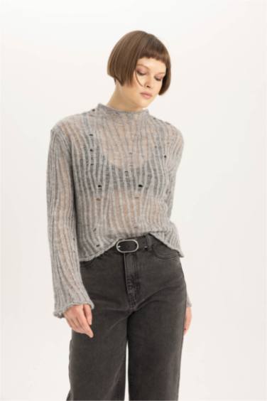 Relax Fit Half Turtleneck Lace Pullover