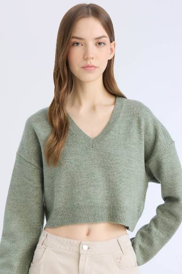 Regular Fit V-Neck Knitwear Pullover