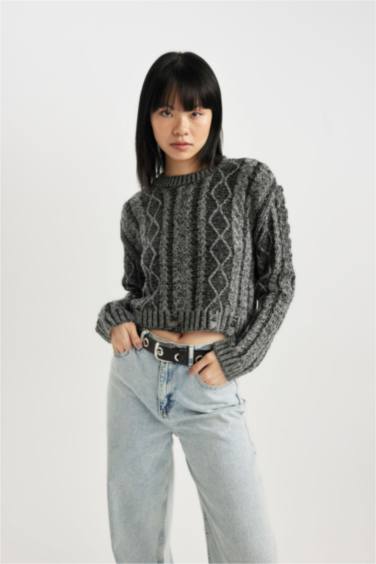 Regular Fit Crew Neck Knitwear Pullover