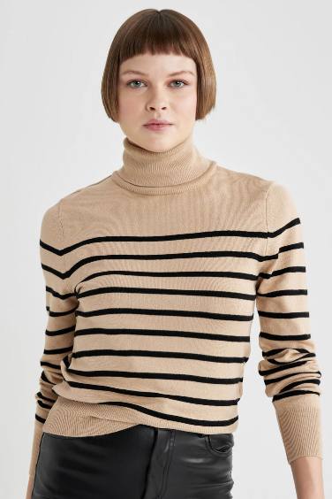 Regular Fit Striped Turtleneck Knitted Pullover