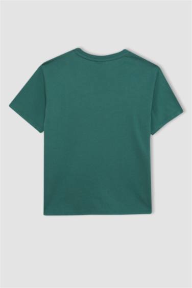 Boy Regular Fit Crew Neck Printed Short Sleeve T-Shirt