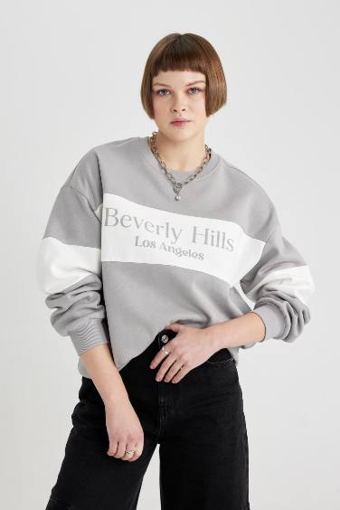 Relax Fit Crew Neck Printed Thick Sweatshirt