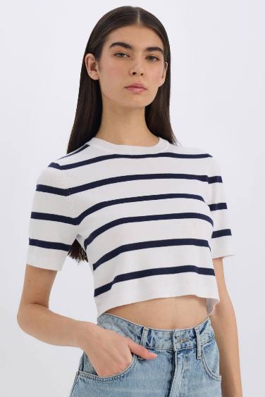 Fitted Crew Neck Striped Short Sleeve Pullover