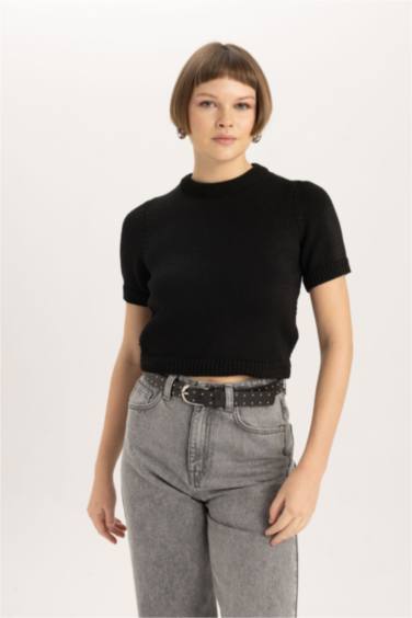 Fitted Crew Neck Short Sleeve Knitted Pullover