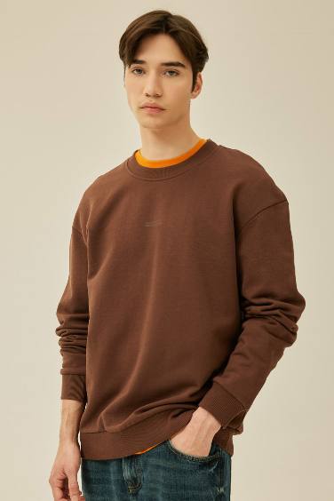 Boxy Fit Crew Neck Printed Sweatshirt