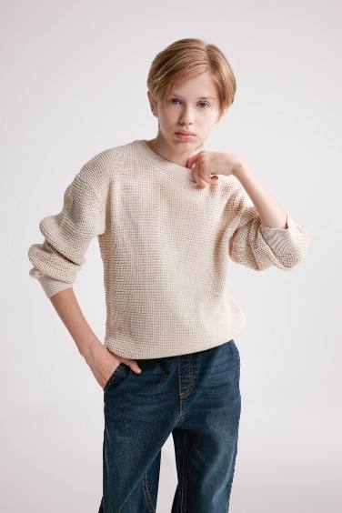 Boy Regular Fit Crew Neck Pullover