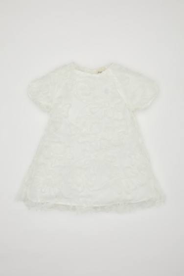 Baby Girl Short Sleeve Tulle Dress