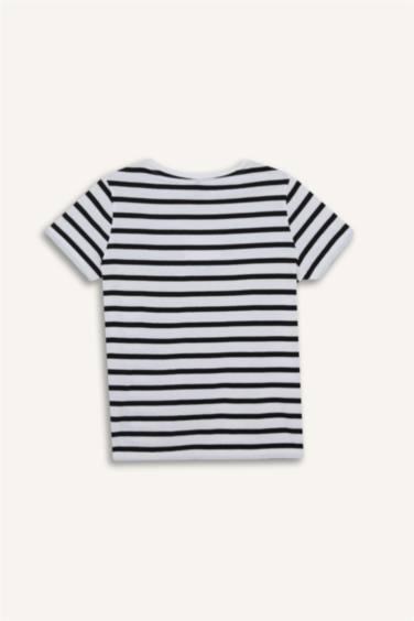 Regular Fit Crew Neck Short Sleeve T-Shirt