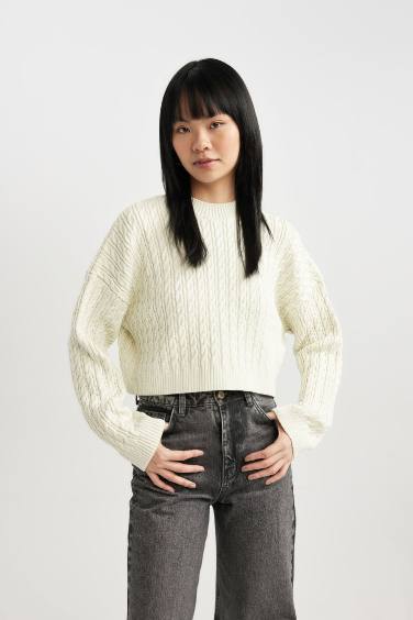 Regular Fit Crew Neck Knitwear Pullover