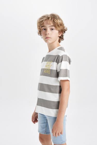 Boy Regular Fit Crew Neck Printed T-Shirt