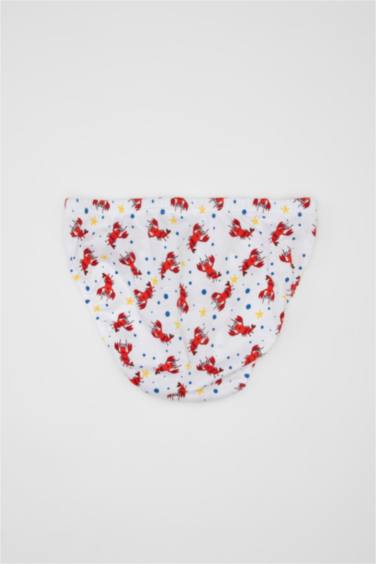 Lot de 3 slips en coton pour garçon