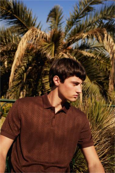 поло жаға Поло