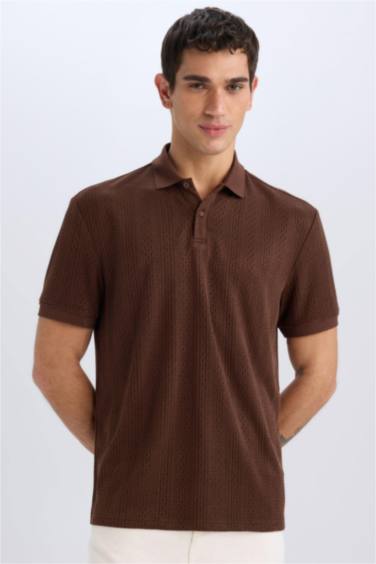 поло жаға Поло