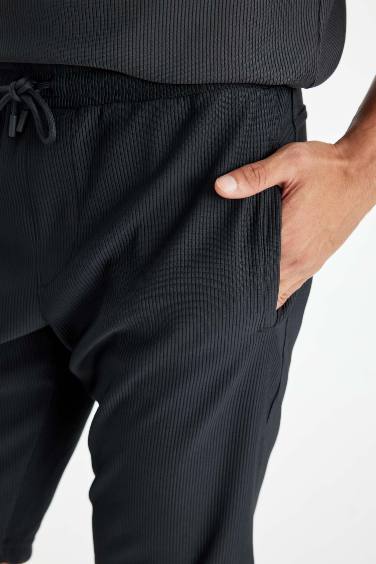 Regular Fit Bermuda Shorts