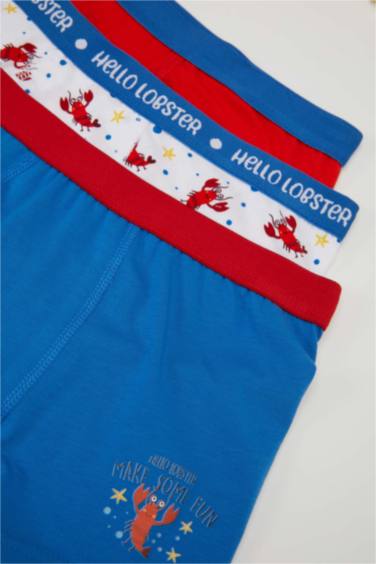 Lot de 3 Boxers à imprimé pour garçon