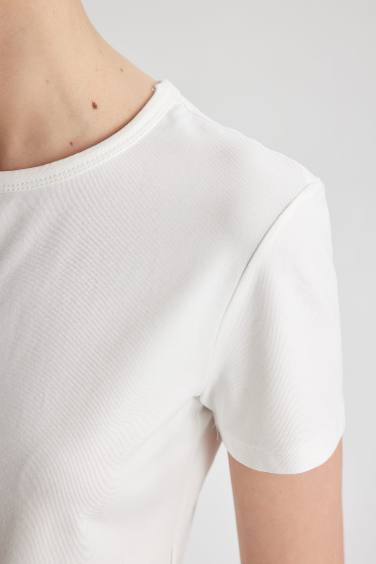 تيشيرت سليم فيت بياخة مستديرة