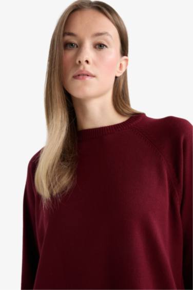 Regular Fit Crew Neck Tunic