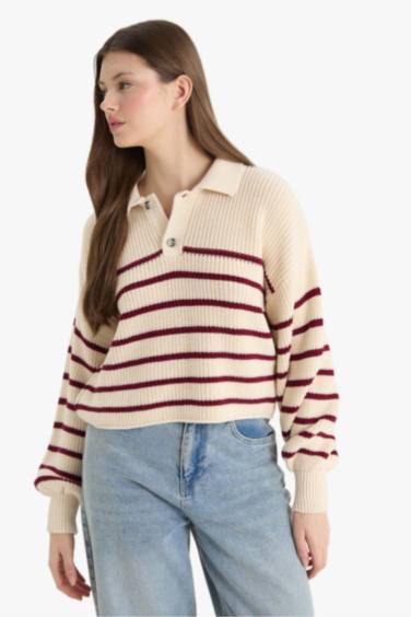 Relax Fit Polo Collar Buttoned Stripped Knit Pullover