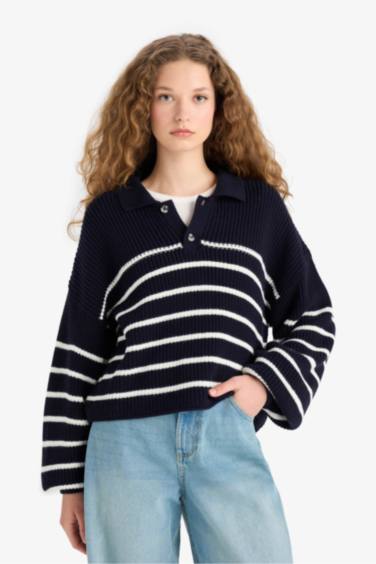 Relax Fit Polo Collar Buttoned Stripped Knit Pullover
