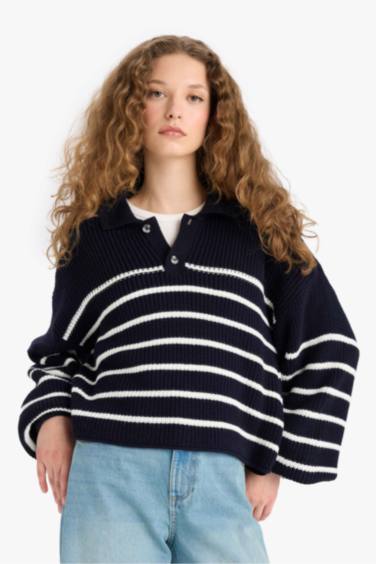 Relax Fit Polo Collar Buttoned Stripped Knit Pullover
