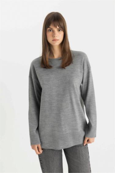 Regular Fit Crew Neck Pullover Tunic