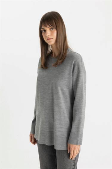 Regular Fit Crew Neck Pullover Tunic