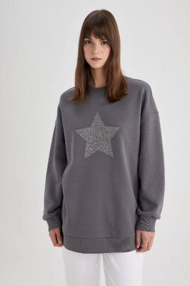 Regular Fit Thick Sweatshirt Fabric Crew Neck Sweat Tunic