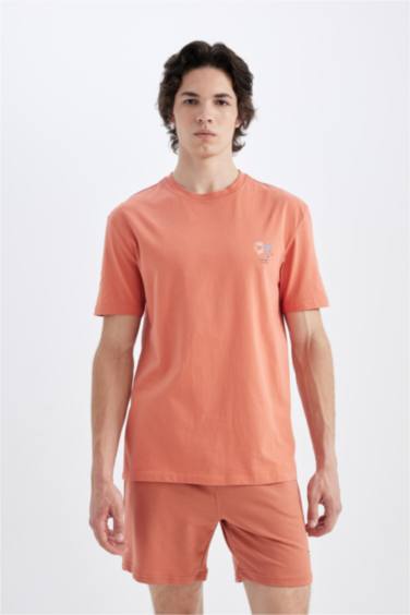 Regular Fit Crew Neck Printed T-Shirt