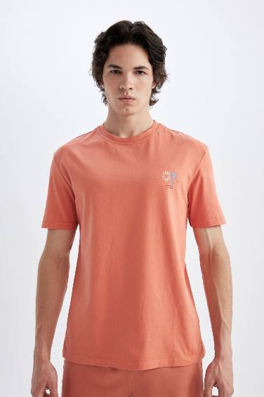 Regular Fit Crew Neck Printed T-Shirt