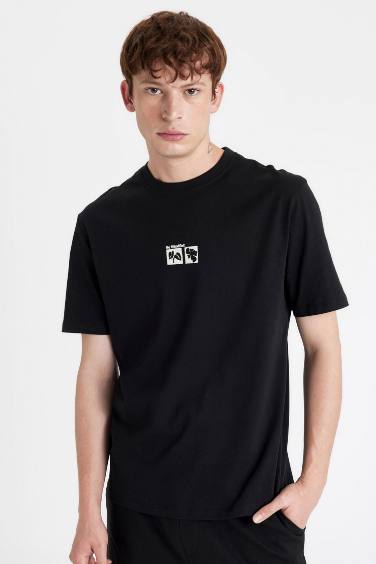 Regular Fit Crew Neck Printed T-Shirt