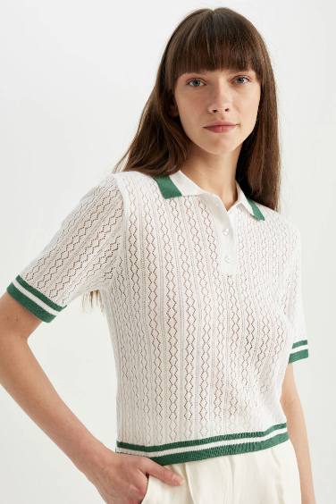 Regular Fit Polo Neck Knit T-Shirt