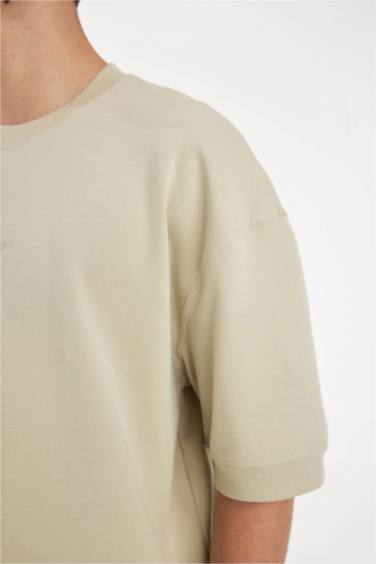 Loose Fit Crew Neck Printed Heavy Fabric Cotton T-Shirt