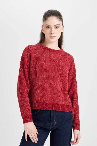 Regular Fit Crew Neck Knitwear Pullover